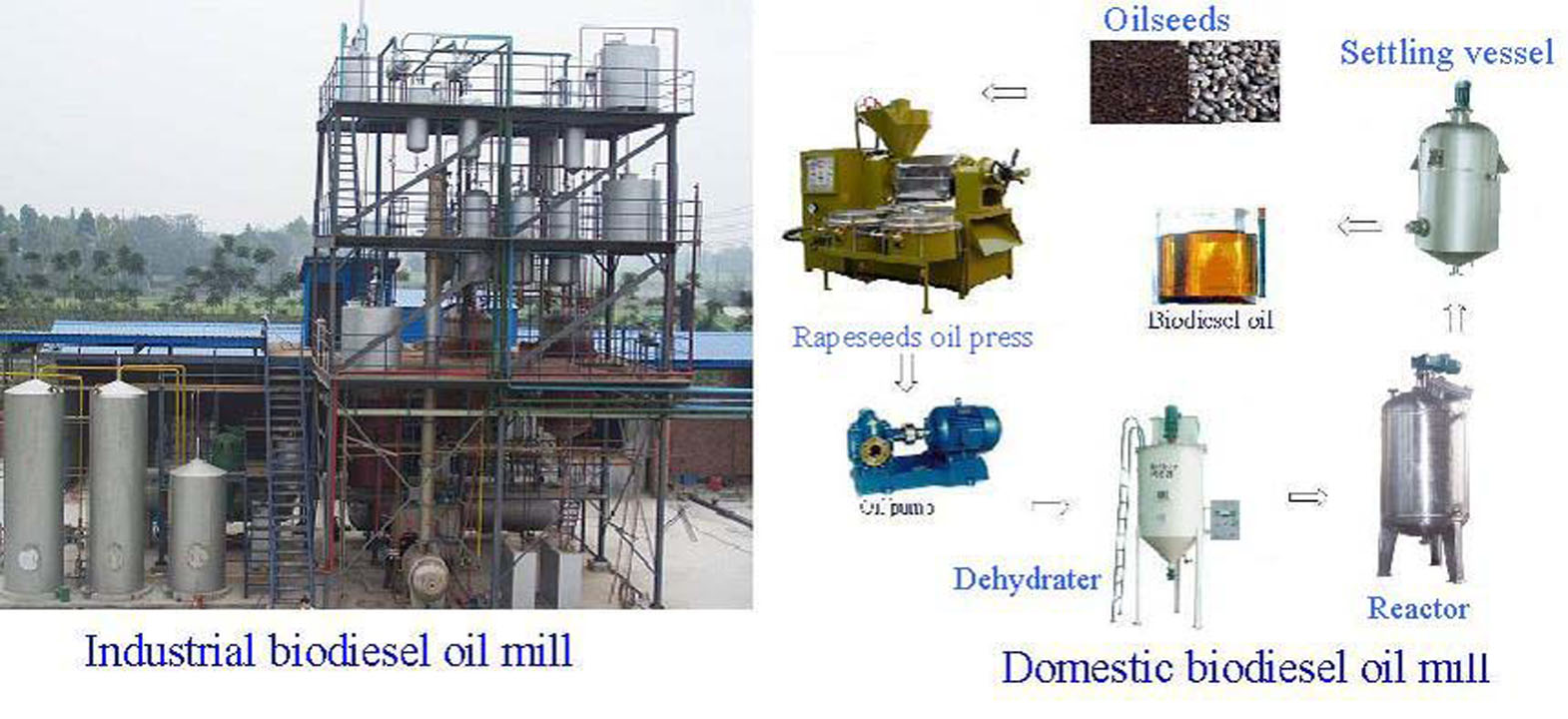 Biodiesel Production Line