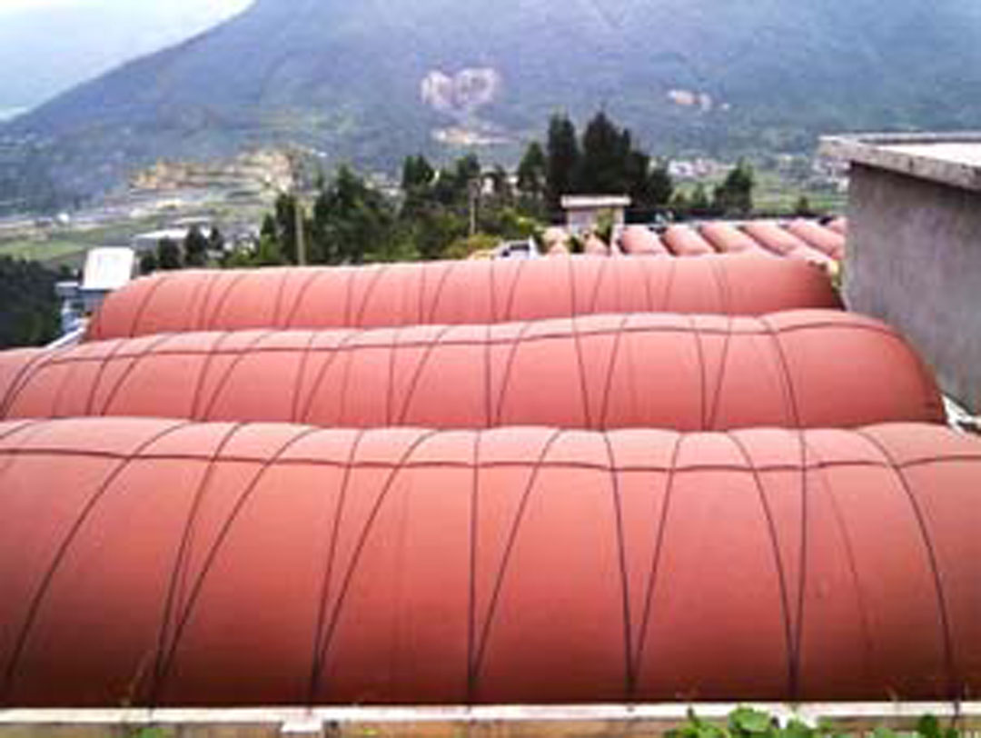 Commercial High Tech Soft Biogas Digester System for 1000-5000 CBM