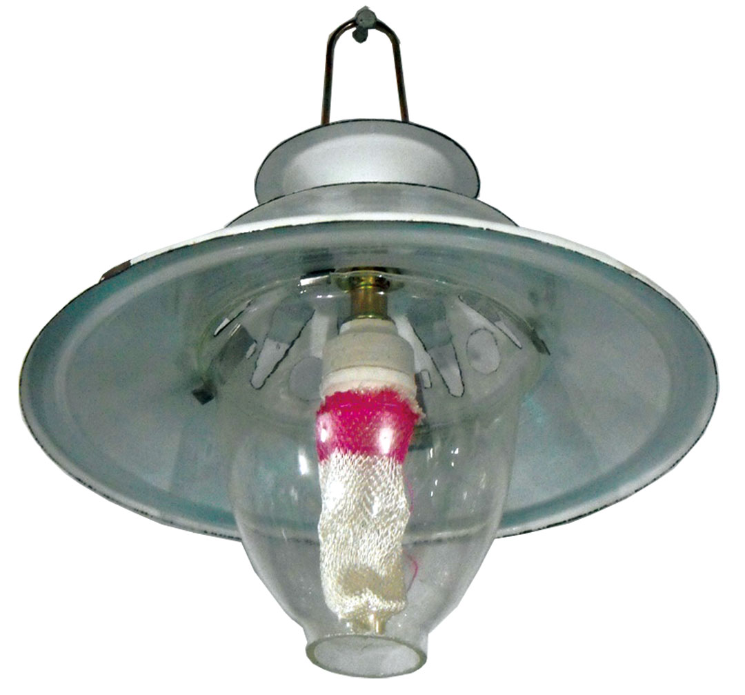 BIOGAS LAMP