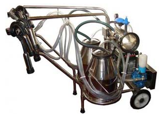 Two Buckets Milking Machine